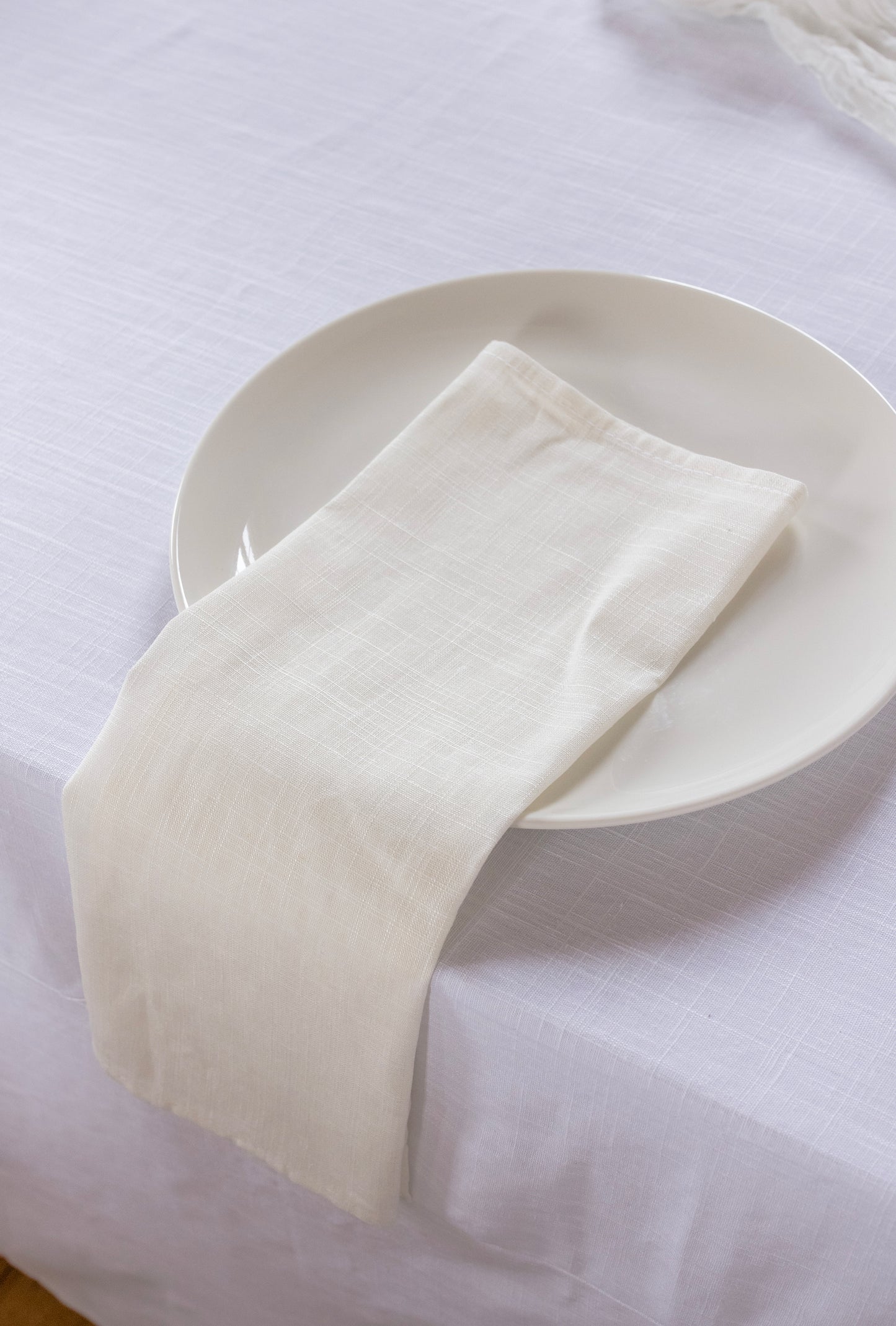 White Rayon Linen Napkin - Pack of 10